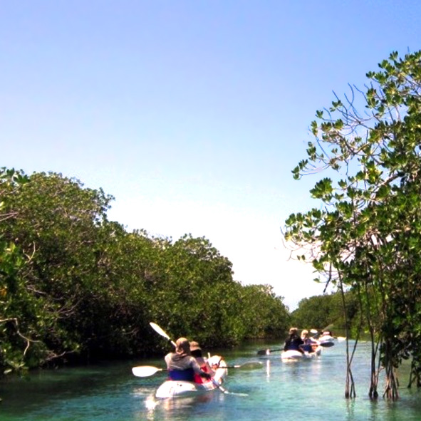 Kayak en Yucatán